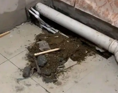 桑珠孜卫生间漏水检测哪家好
