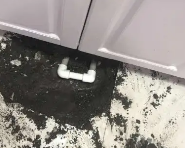 桑珠孜查漏水哪家好